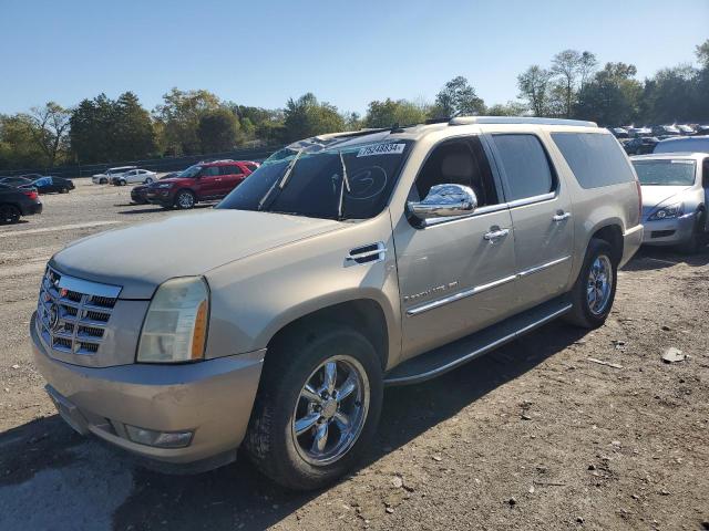 2007 Cadillac Escalade Esv