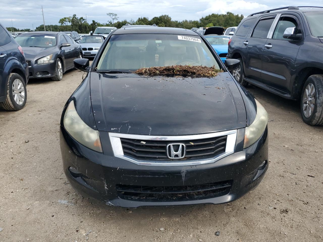 2010 Honda Accord - Image 5