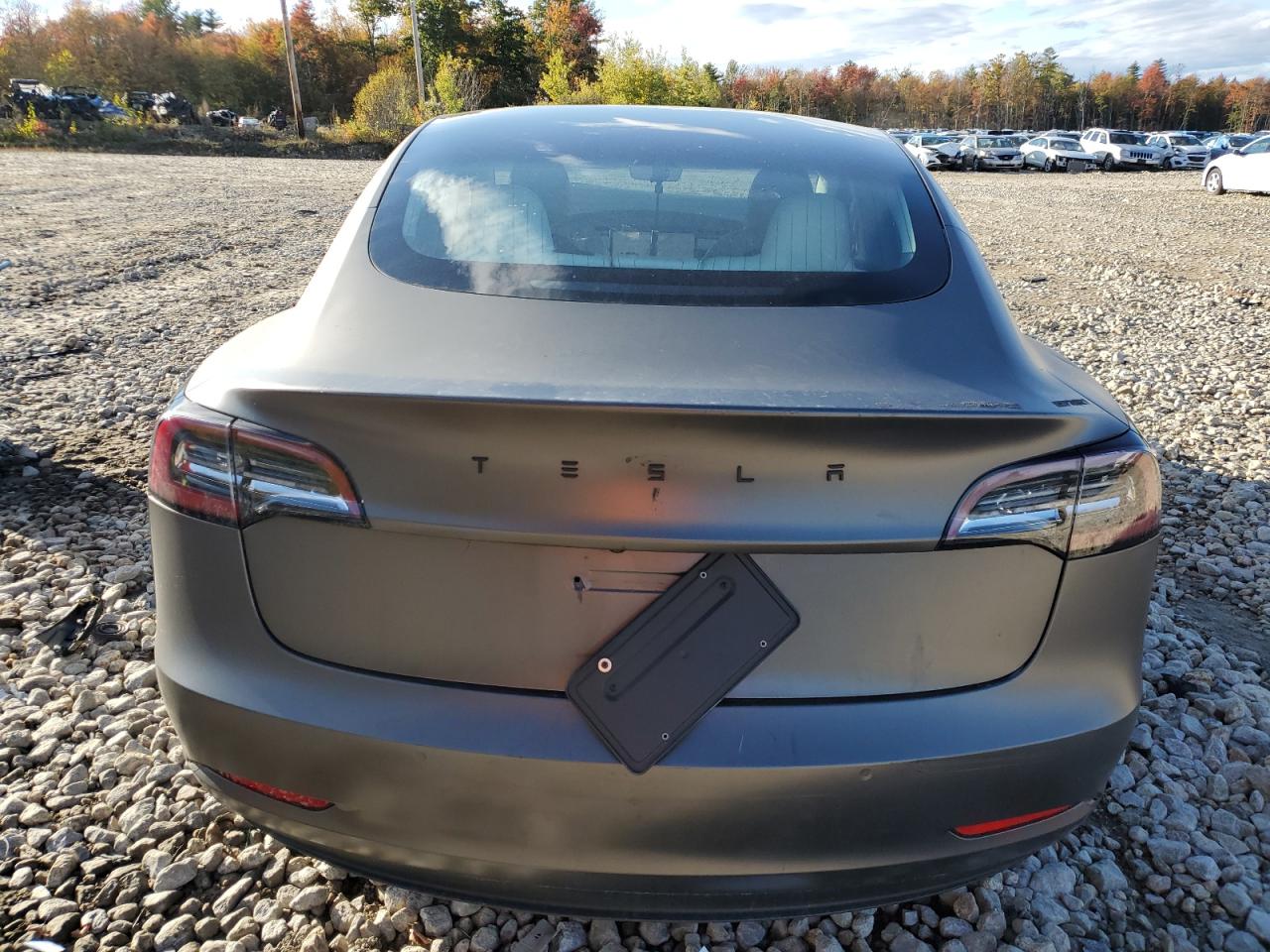 2019 Tesla Model 3 VIN: 5YJ3E1EA3KF312176 Lot: 75173584