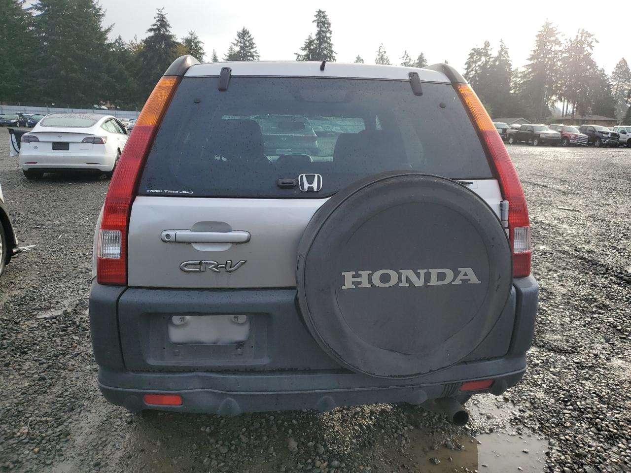 2004 Honda Cr-V Ex VIN: JHLRD78874C005203 Lot: 77702144