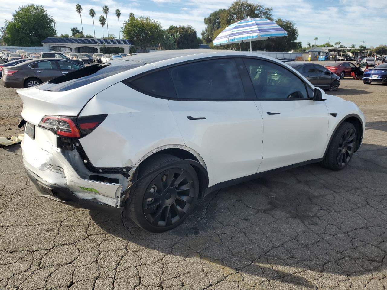 VIN 7SAYGDEE2PA045530 2023 TESLA MODEL Y no.3