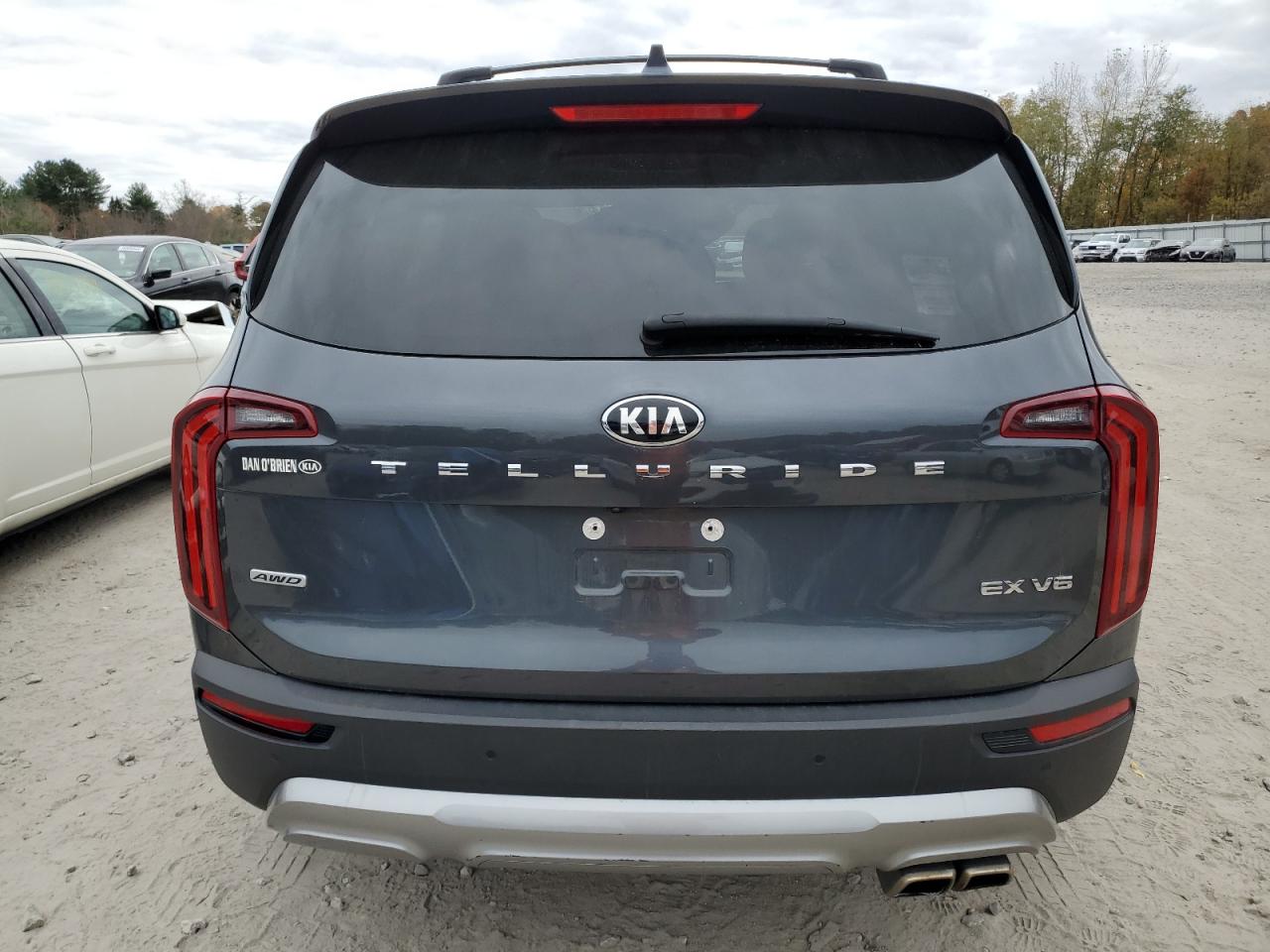 2020 Kia Telluride Ex VIN: 5XYP3DHC6LG059886 Lot: 77612434