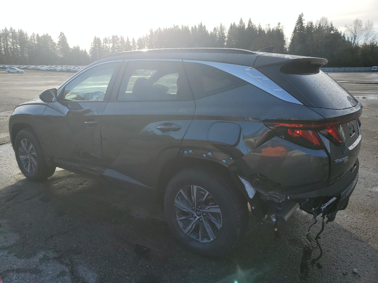 2024 Hyundai Tucson - Image 2