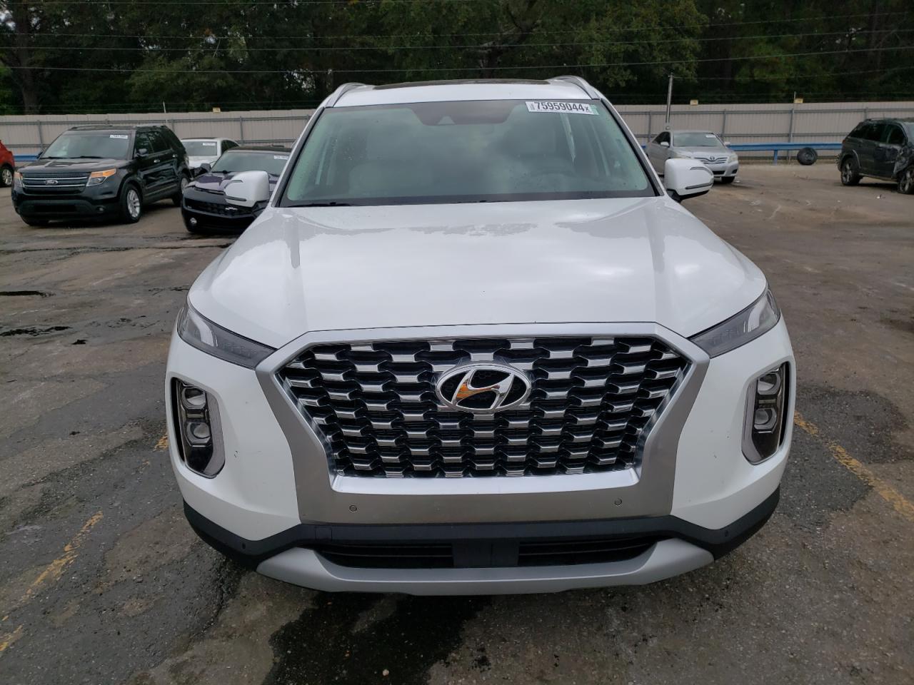 2020 Hyundai Palisade Sel VIN: KM8R44HE0LU144434 Lot: 75959044