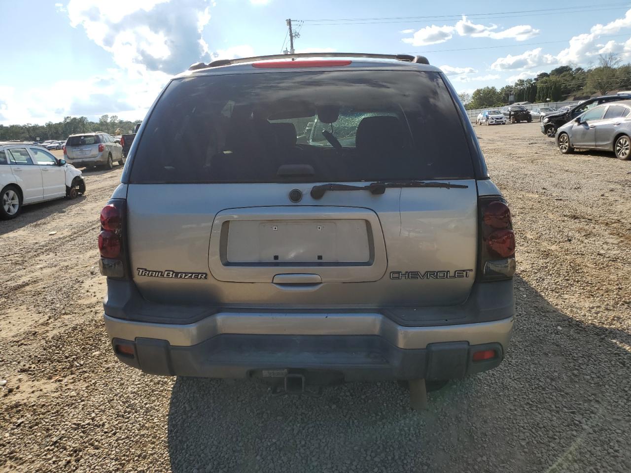 2003 Chevrolet Trailblazer VIN: 1GNDS13S932116229 Lot: 54615525