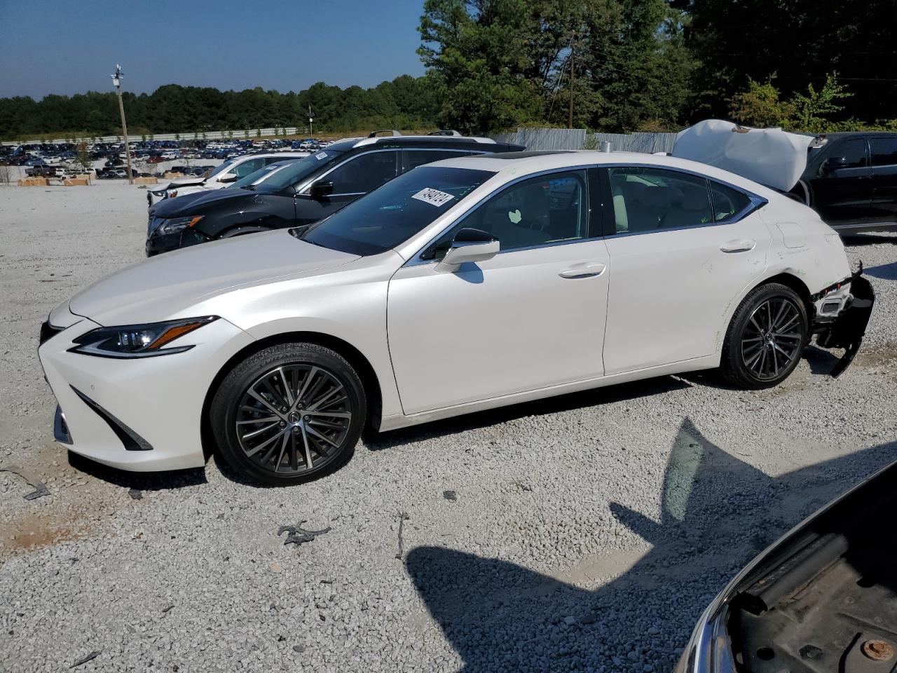 2024 Lexus ES - Image 1