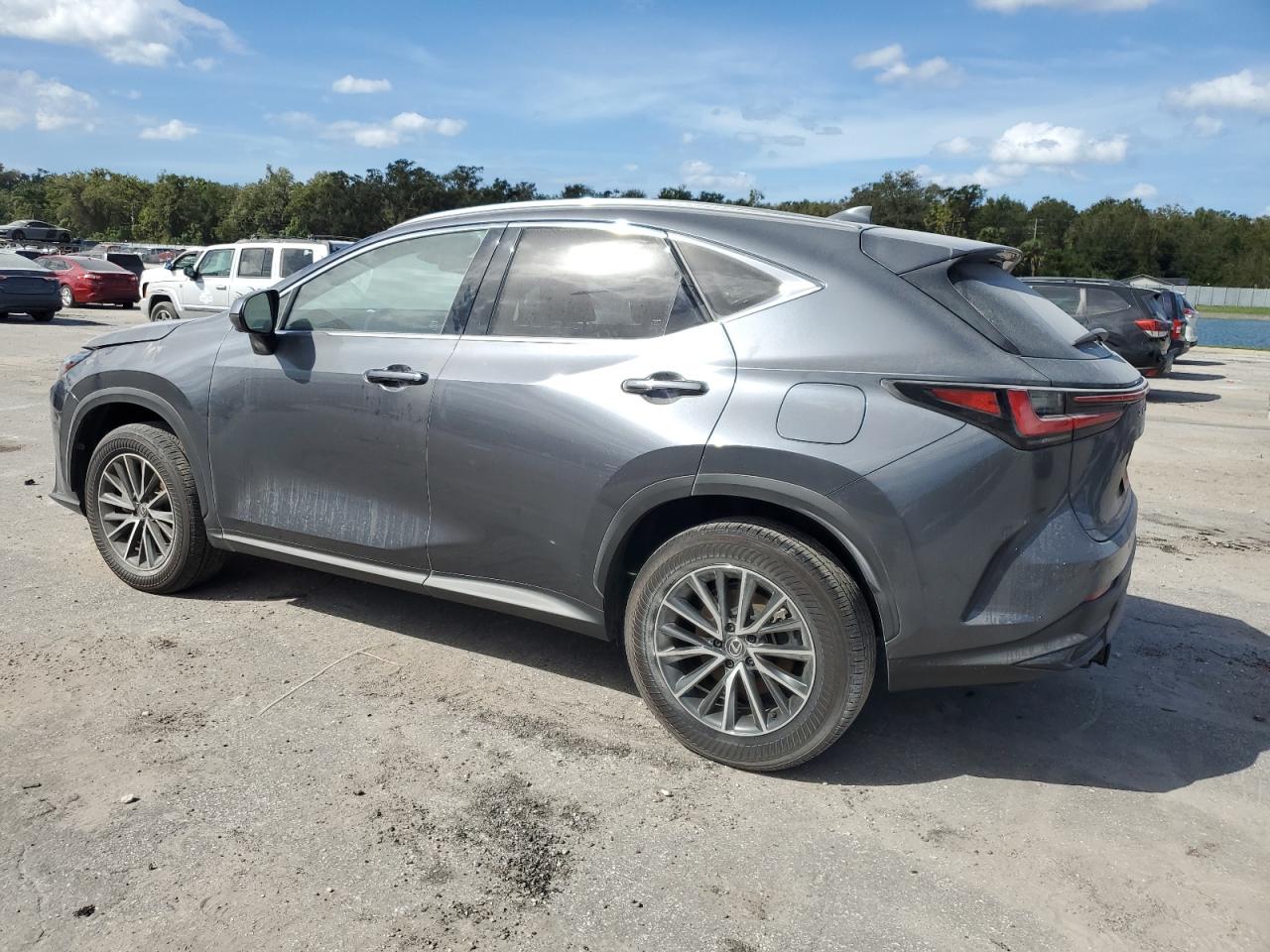 2024 Lexus NX - Image 2