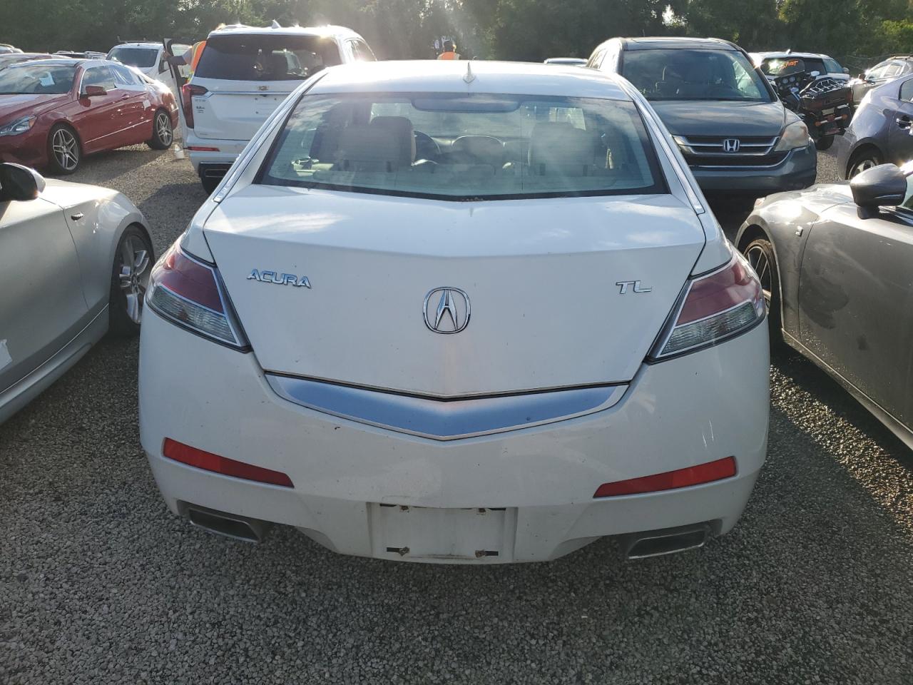 2010 Acura Tl VIN: 19UUA8F21AA002617 Lot: 74471644