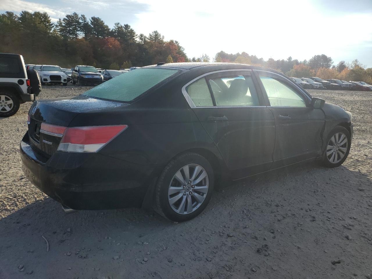 2011 Honda Accord Exl VIN: 1HGCP2F89BA059676 Lot: 76342324