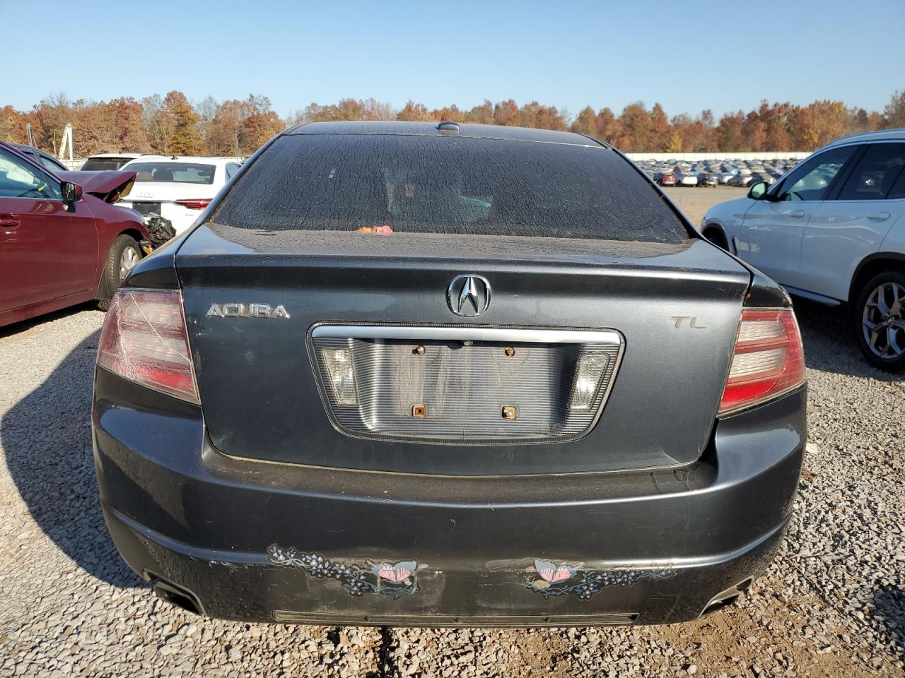 2007 Acura Tl VIN: 19UUA66257A003718 Lot: 76813544