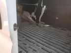 2018 Ram Promaster 2500 2500 High იყიდება Hueytown-ში, AL - Rear End