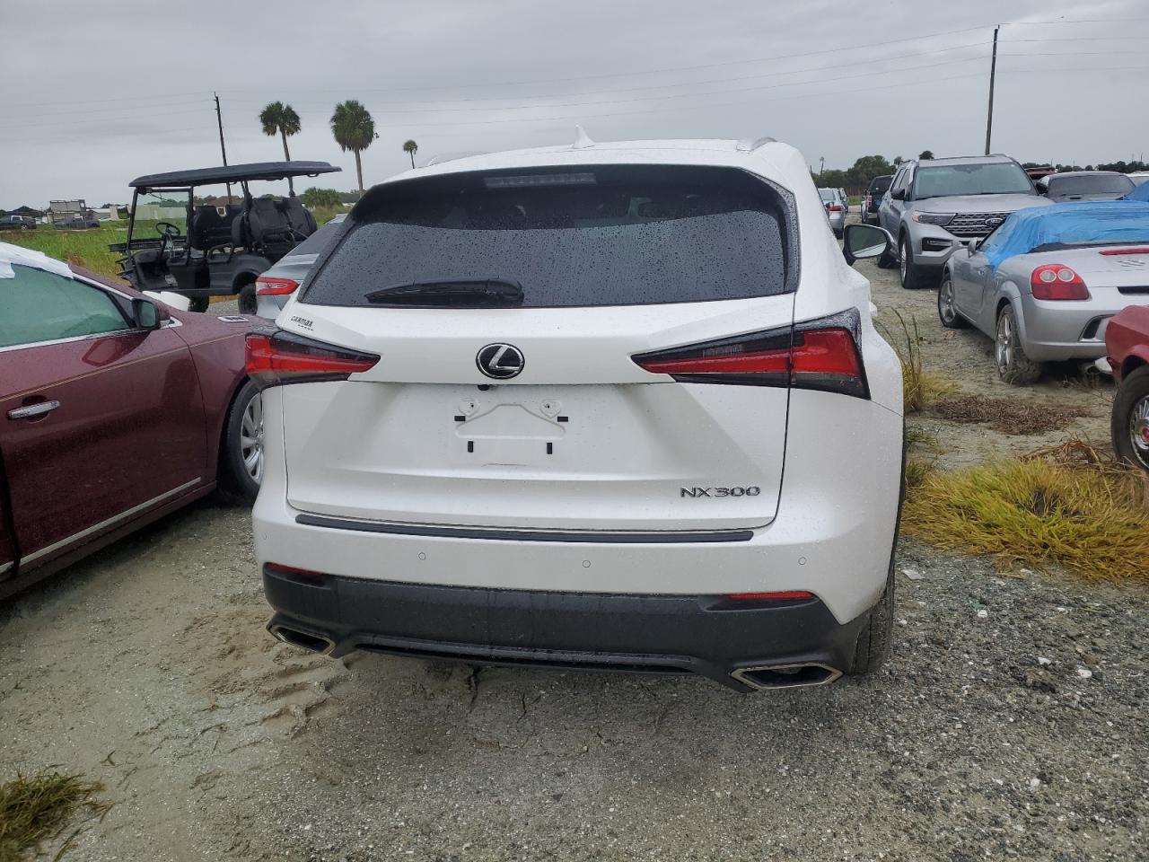 2020 Lexus Nx 300 VIN: JTJDARBZ7L5005098 Lot: 74901314