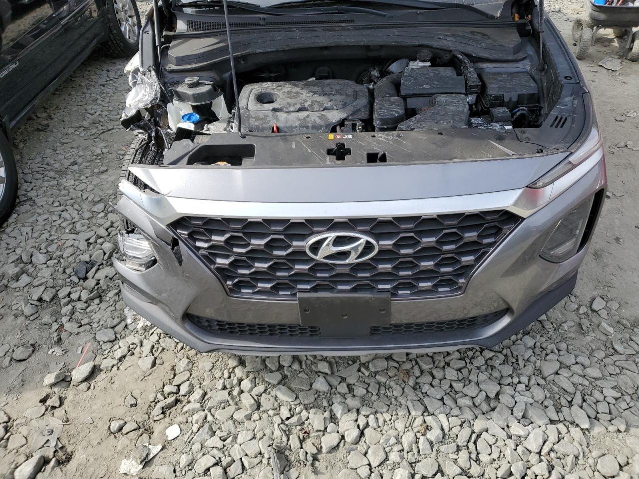 2020 Hyundai Santa Fe Sel VIN: 5NMS3CAD7LH171559 Lot: 75818484