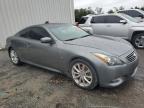 2014 Infiniti Q60 Journey na sprzedaż w Jacksonville, FL - Water/Flood