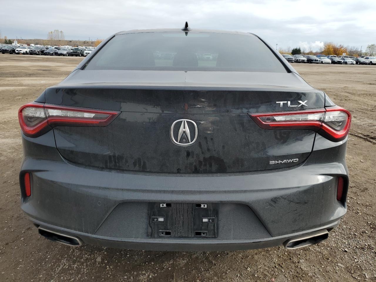 2023 Acura Tlx Platinum Elite VIN: 19UUB6F98PA800393 Lot: 79027184