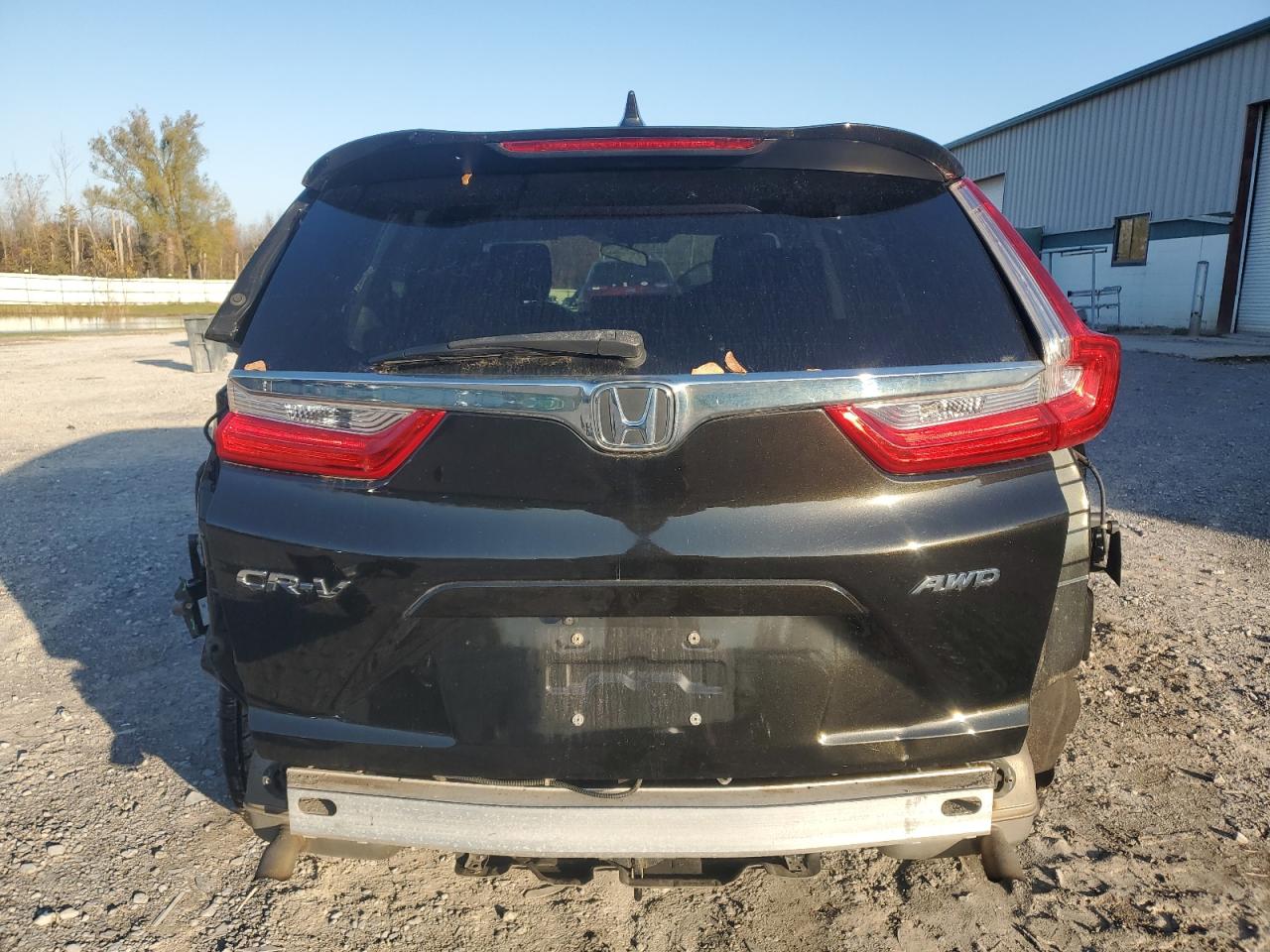 2019 Honda Cr-V Ex VIN: 2HKRW2H5XKH631412 Lot: 76076844