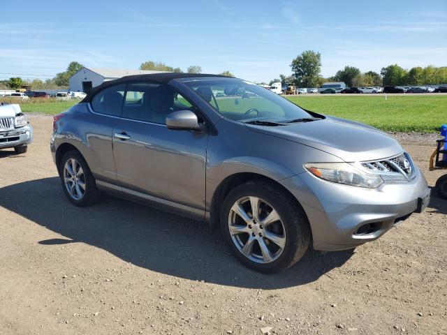 Cabriolets NISSAN MURANO 2014 Szary