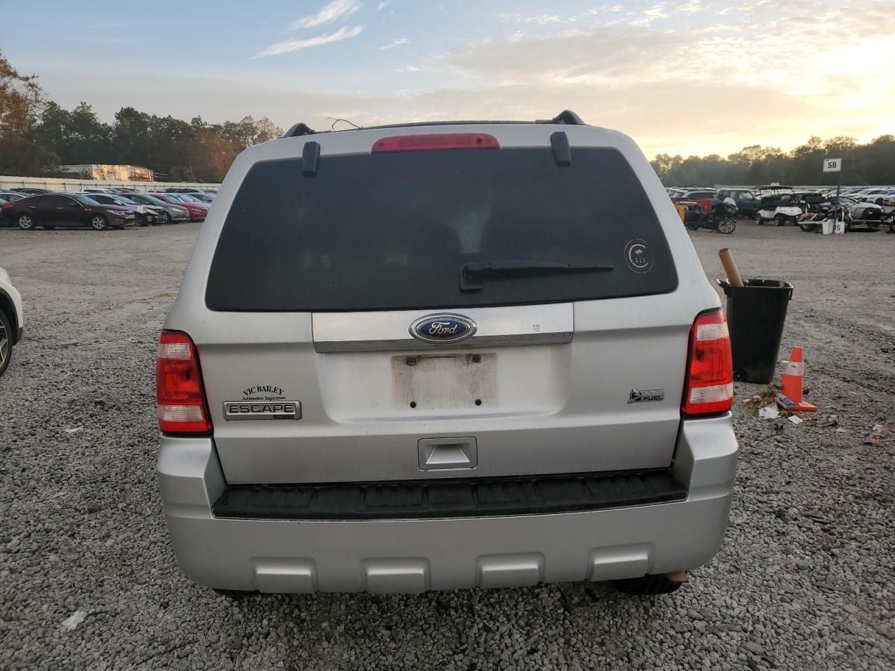 2010 Ford Escape Limited VIN: 1FMCU0EG3AKB89350 Lot: 74393054