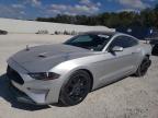 2019 Ford Mustang  for Sale in New Braunfels, TX - Rear End