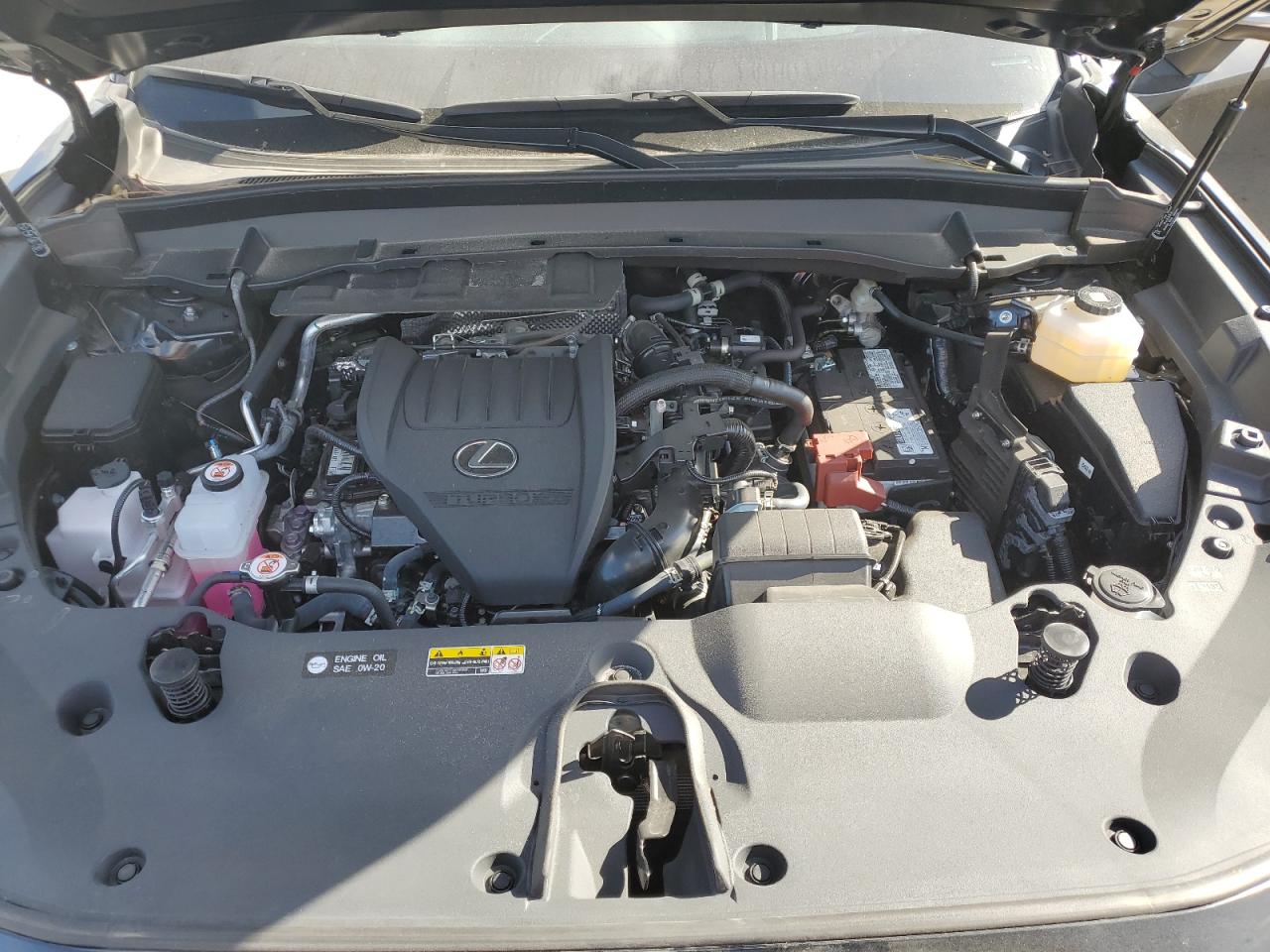 2024 Lexus Tx 350 Base VIN: 5TDAAAA61RS004031 Lot: 76091644