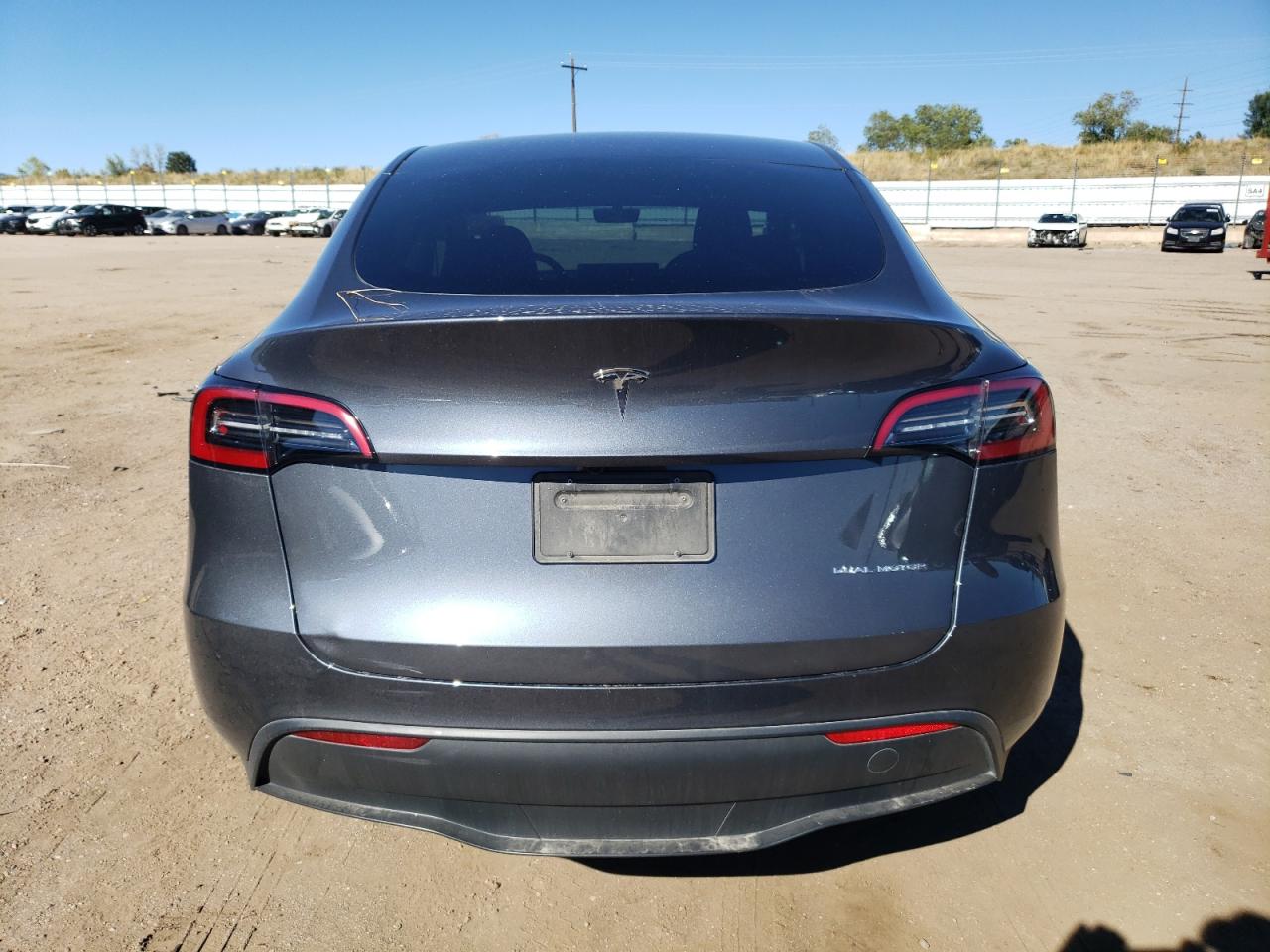 2024 Tesla Model Y VIN: 7SAYGDEE0RA217282 Lot: 76995374