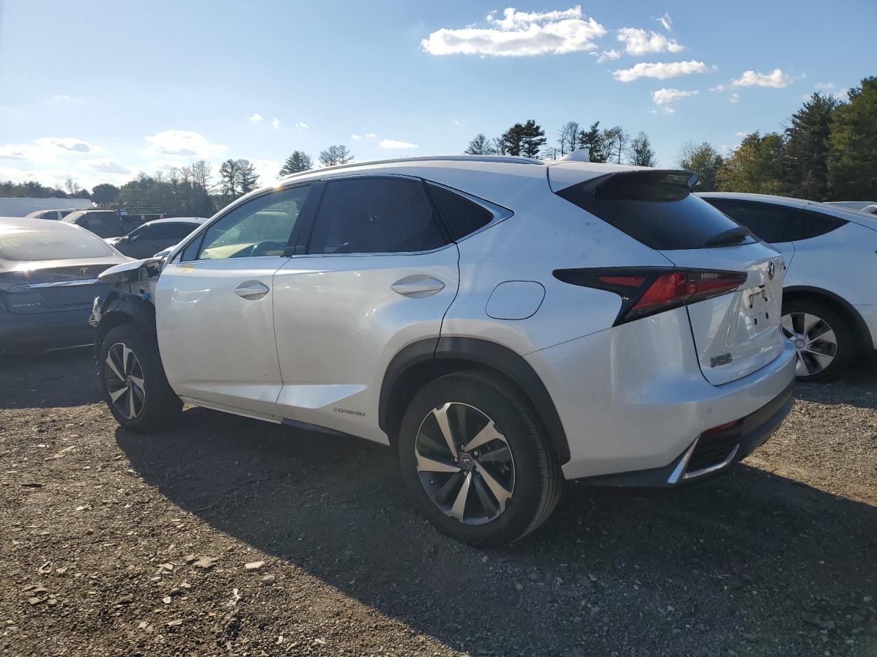 JTJGJRDZ0L5003610 2020 LEXUS NX - Image 2