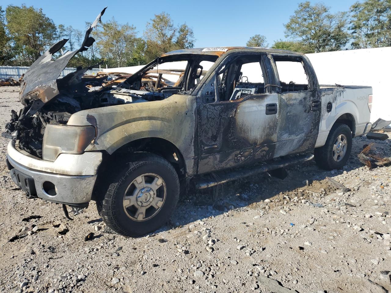 2011 Ford F-150 - Image 1