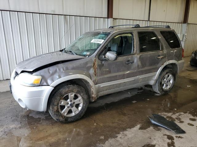 2007 Ford Escape Xlt