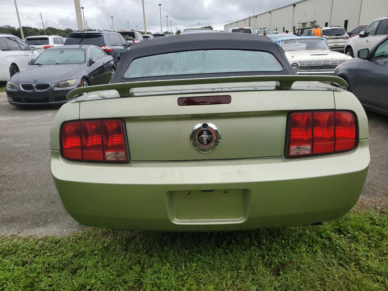 2006 Ford Mustang VIN: 1ZVHT84N565239437 Lot: 74831094