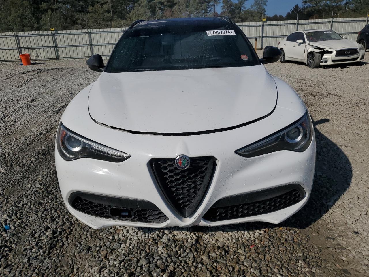 2019 Alfa Romeo Stelvio - Image 5