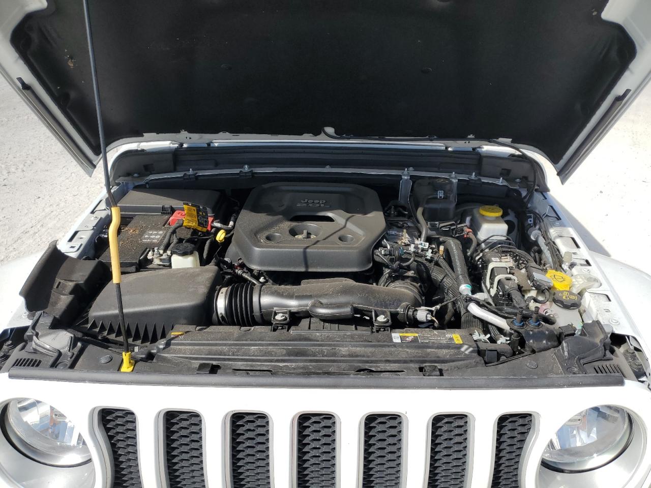 2021 Jeep Wrangler Unlimited Sahara VIN: 1C4HJXEN6MW552389 Lot: 76630974