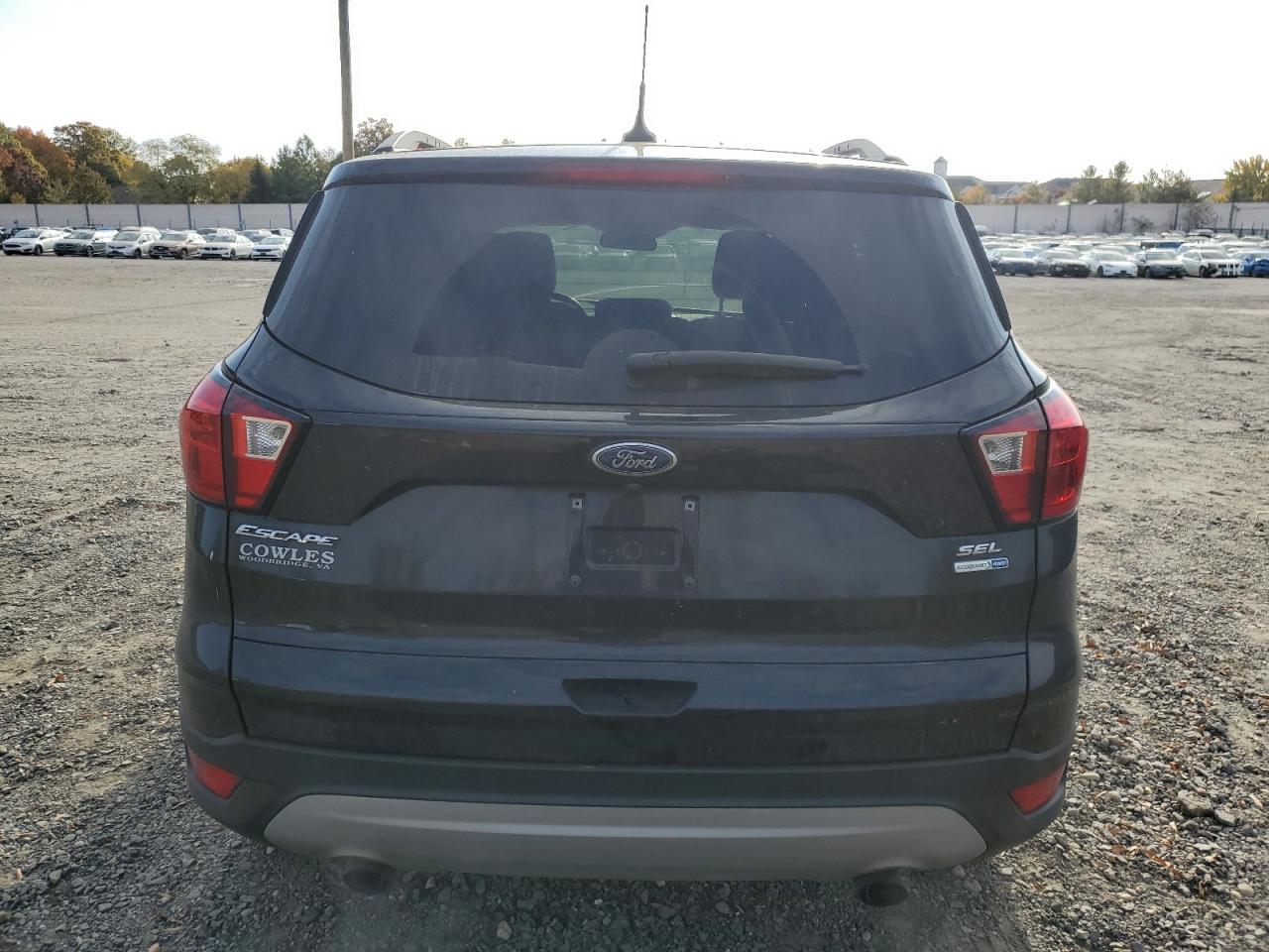 2019 Ford Escape Sel VIN: 1FMCU9HD0KUA02450 Lot: 77472164