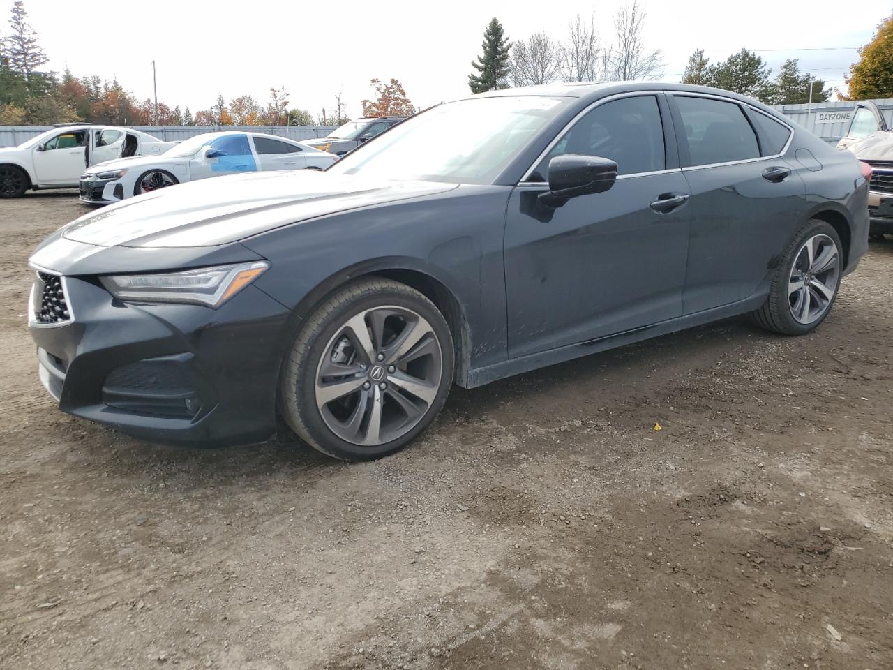 2023 Acura Tlx Platinum Elite VIN: 19UUB6F98PA800393 Lot: 79027184