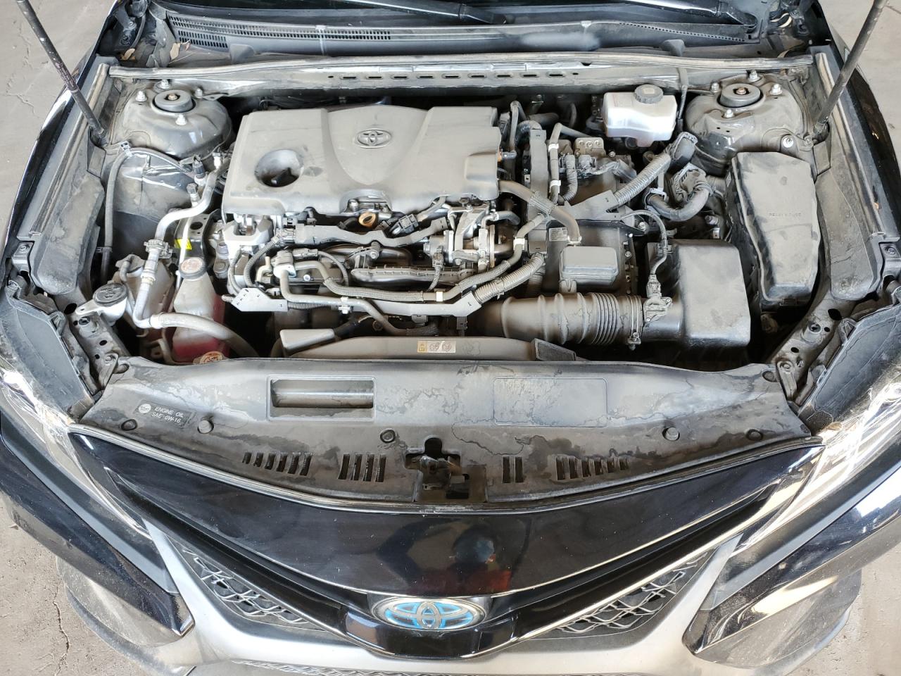 4T1J31AK9LU542448 2020 Toyota Camry Se