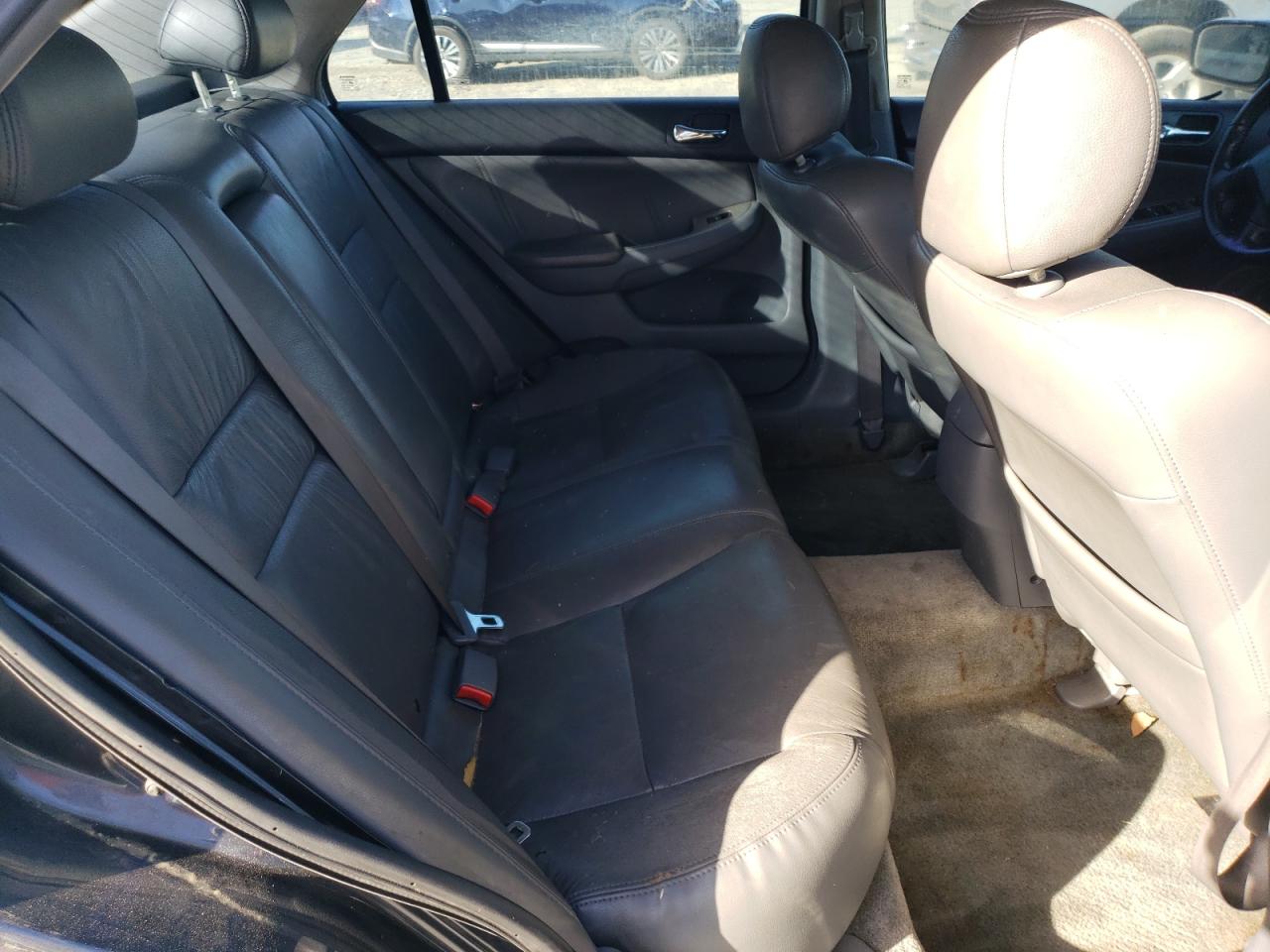 2006 Honda Accord Ex VIN: 1HGCM56836A172152 Lot: 77869844