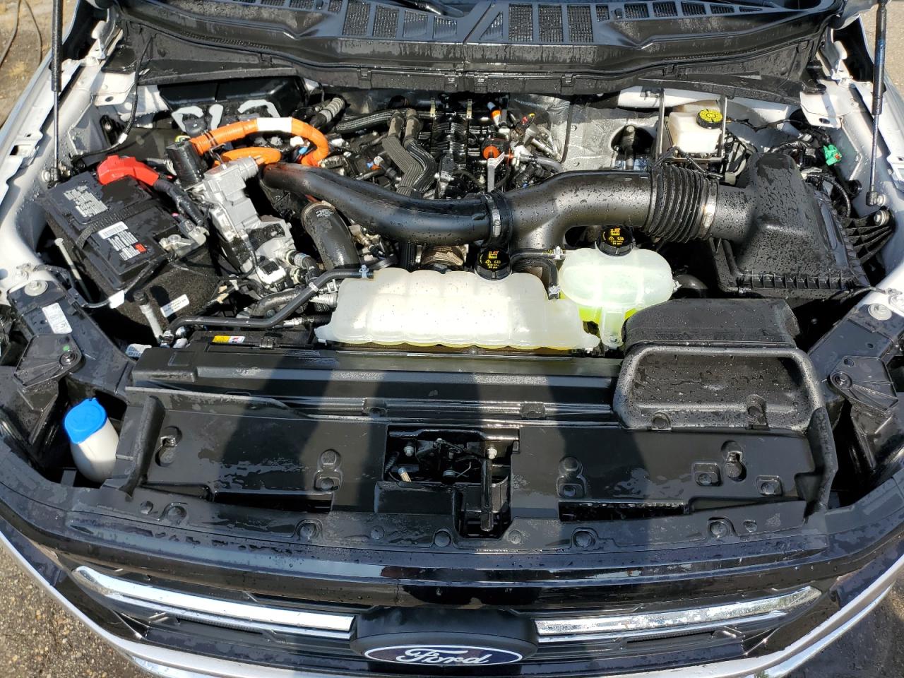 2024 Ford F150 Xlt VIN: 1FTFW3LD6RFA26959 Lot: 74567704