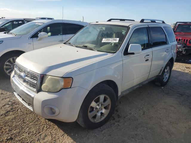 2010 Ford Escape Limited