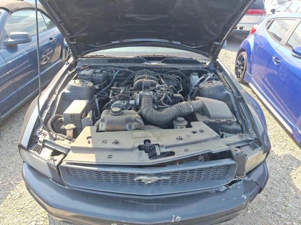 2009 Ford Mustang VIN: 1ZVHT80NX95138839 Lot: 76293544