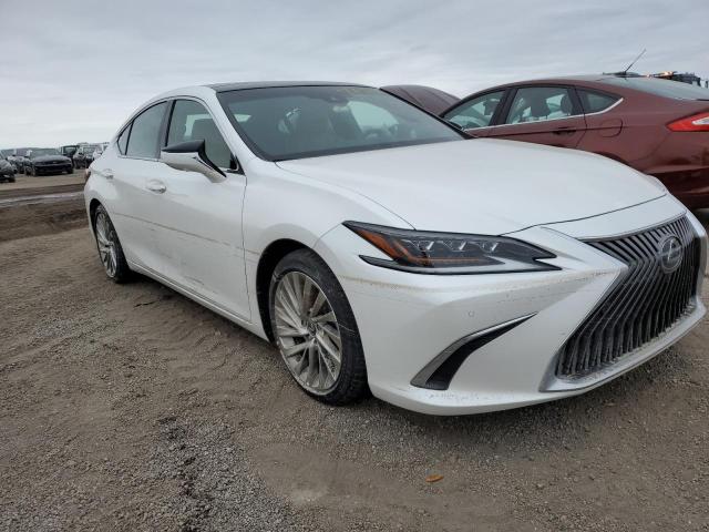  LEXUS ES350 2019 Белы