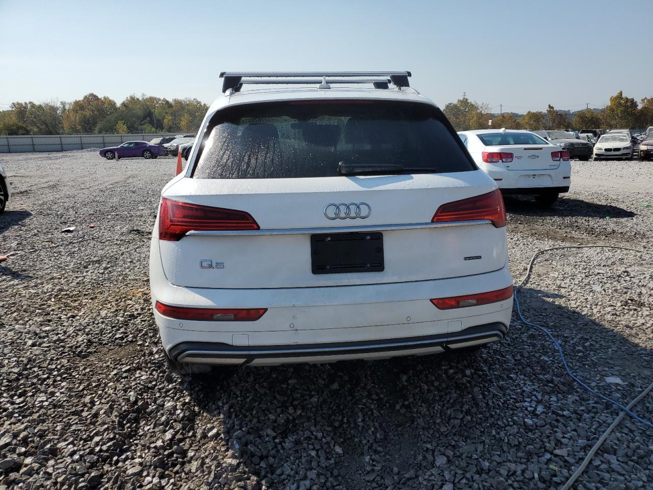 2021 Audi Q5 Premium Plus VIN: WA1BAAFY5M2022427 Lot: 77820914