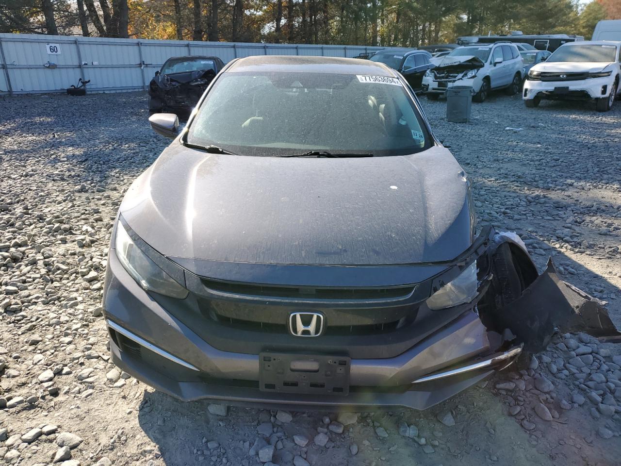 2019 Honda Civic - Image 5