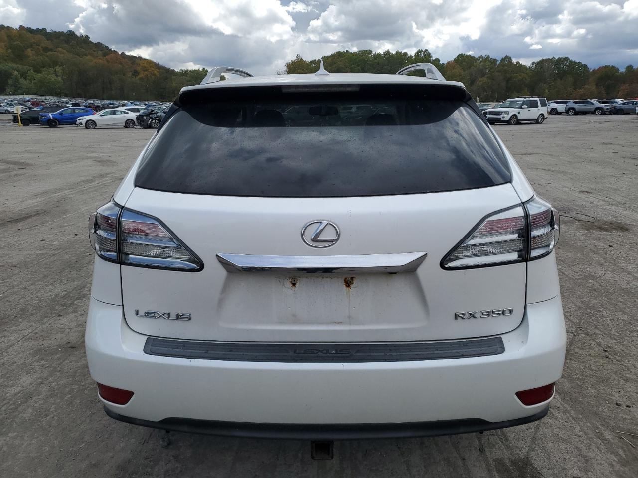 2010 Lexus Rx 350 VIN: 2T2BK1BA2AC028996 Lot: 76283424