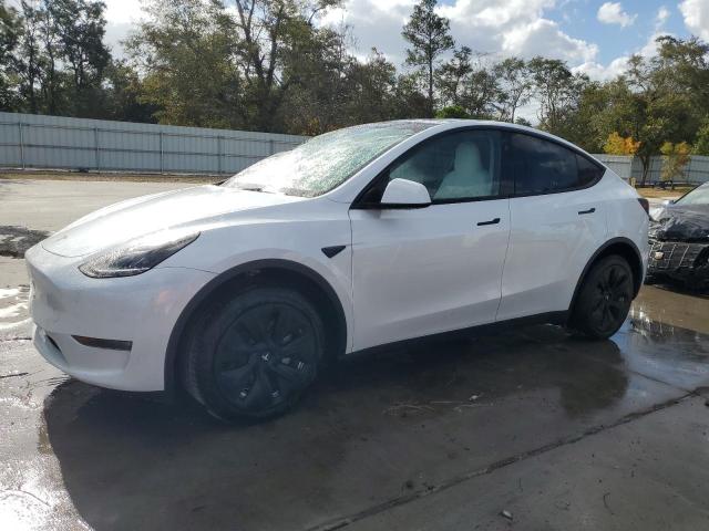  TESLA MODEL Y 2023 Белый