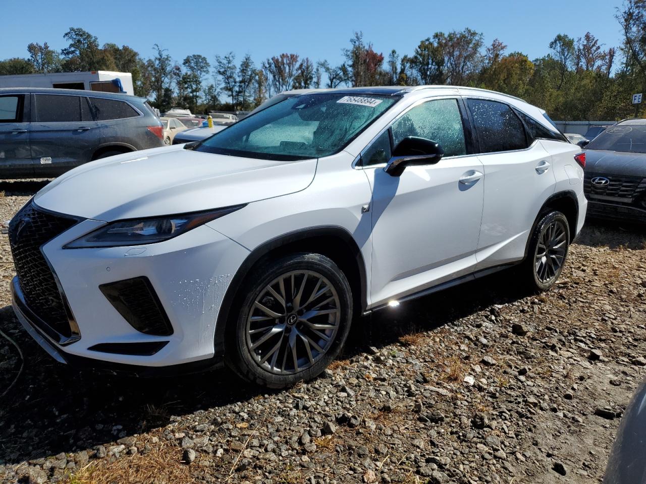 2020 Lexus RX - Image 1