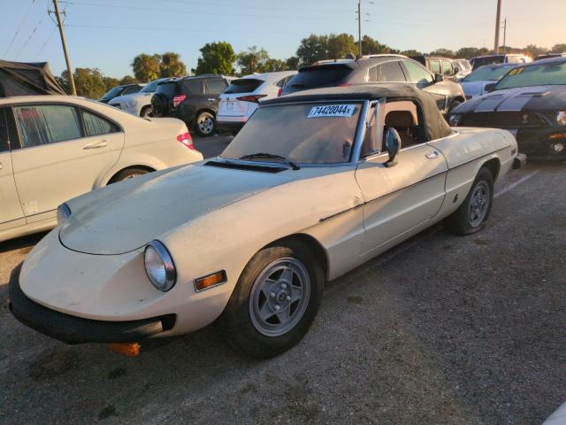 1982 Alfa Romeo Veloce 2000 Spider