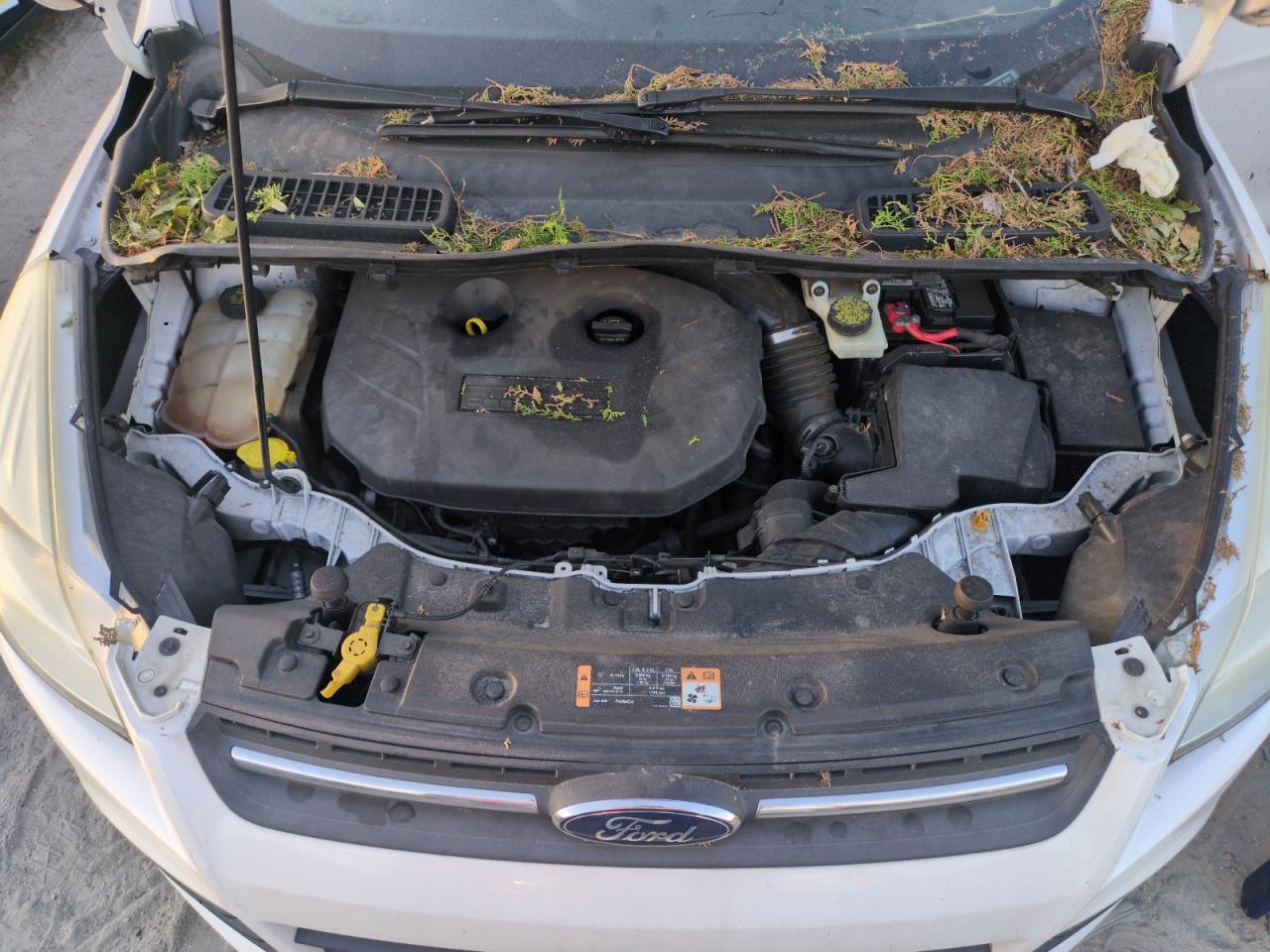 2014 Ford Escape - Image 12