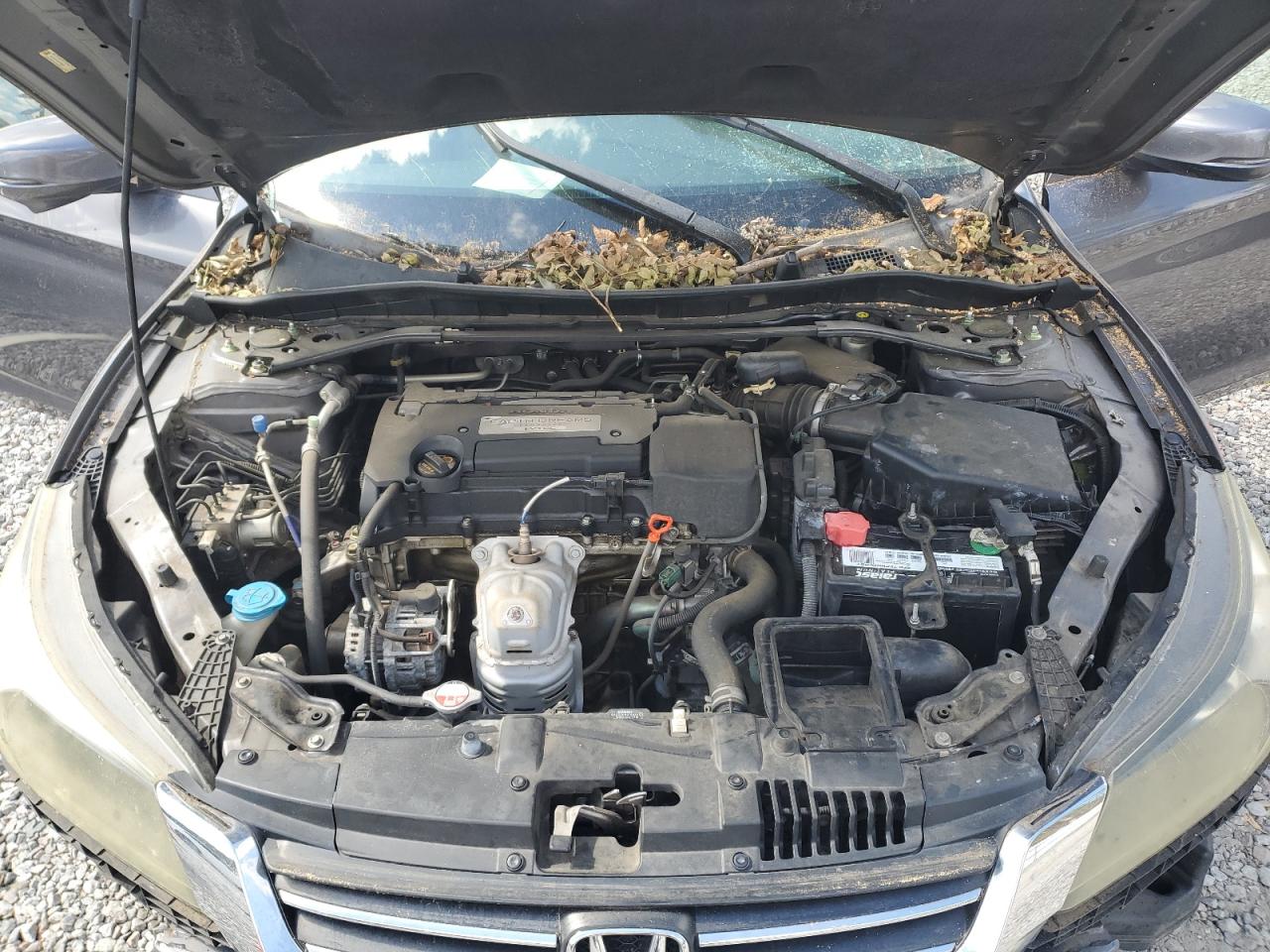 1HGCR2F81EA098504 2014 Honda Accord Exl