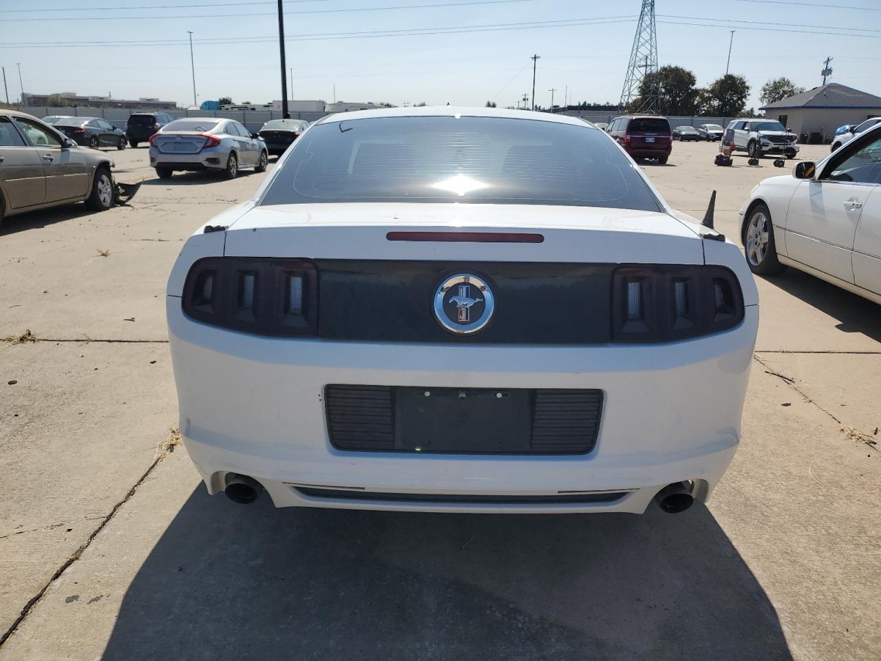 2013 Ford Mustang VIN: 1ZVBP8AMXD5271951 Lot: 76541264