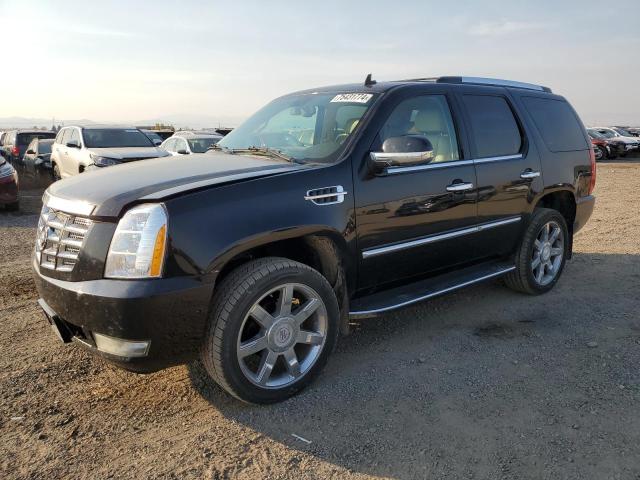 2008 Cadillac Escalade Luxury