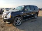 2008 Cadillac Escalade Luxury на продаже в Helena, MT - All Over